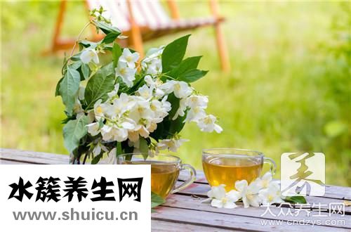 白掌有毒吗能放室内吗？白掌有毒吗？
