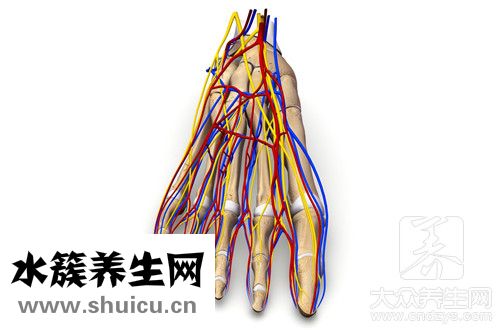 判断手指是否骨折