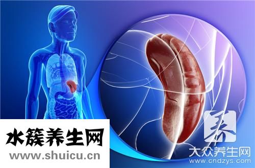 产气菌