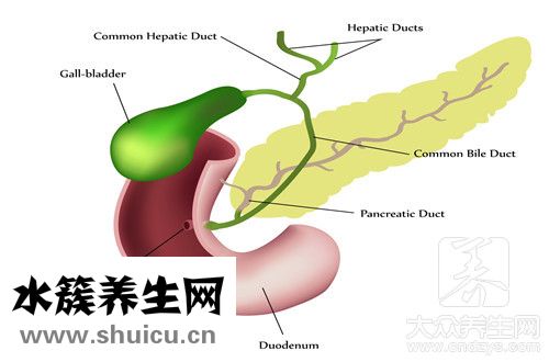 胆汁反流治疗