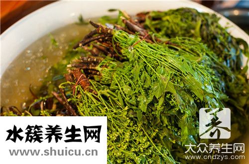 蜂蜜与什么相克