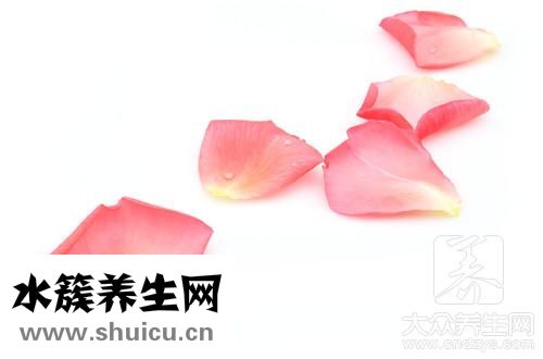 干玫瑰花泡水放几颗