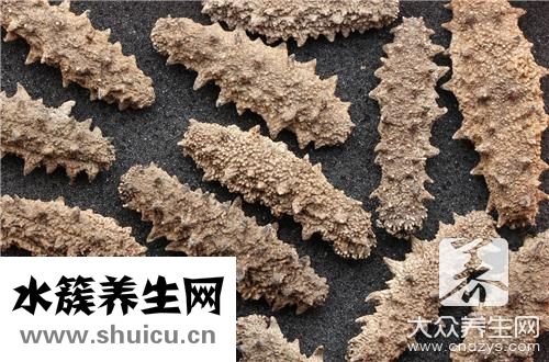 北极海参