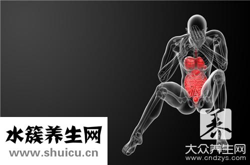 人体肝位置