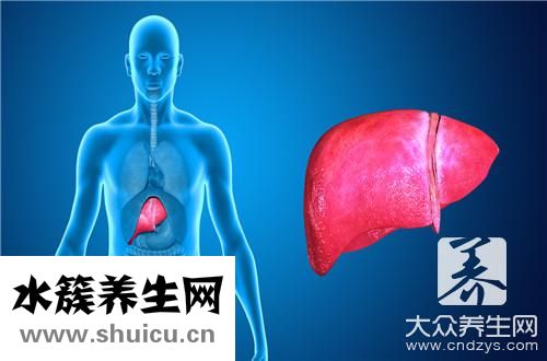 肝穿刺活检