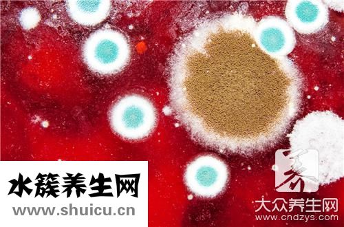 墙面发霉