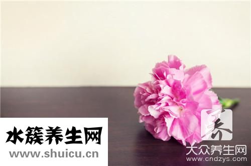 紫丁花