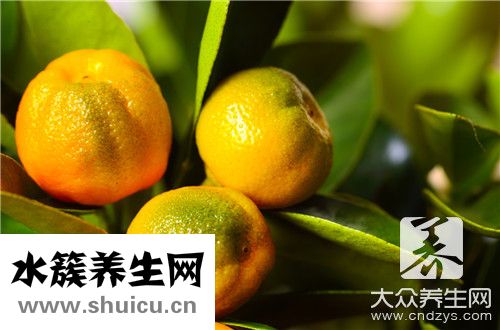 小青柑茶泡