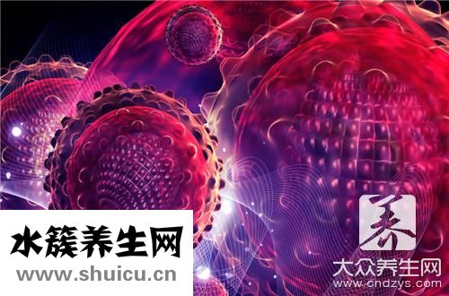 生化指标