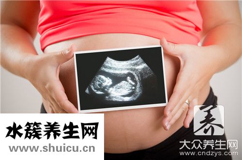 经食道超声心动图