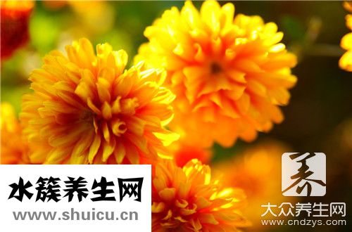 荆疙瘩