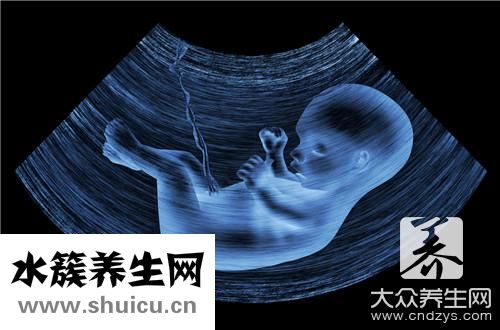 经食道超声心动图