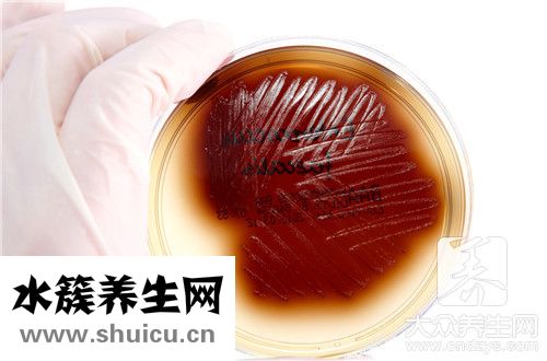 a型rh阳性