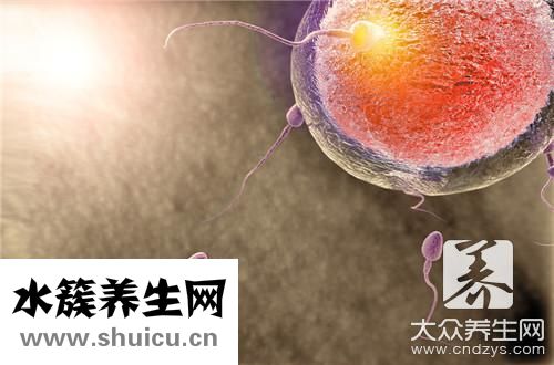 提高卵子质量