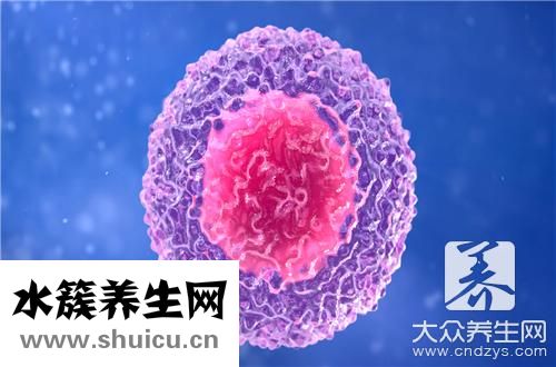 白细胞数高