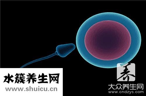 提高卵子质量