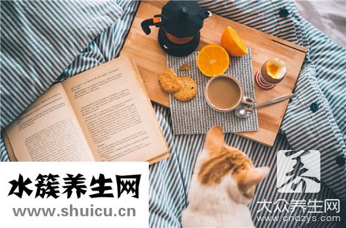 平安树摆放禁忌