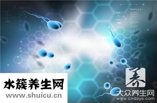 检查精子挂哪个科