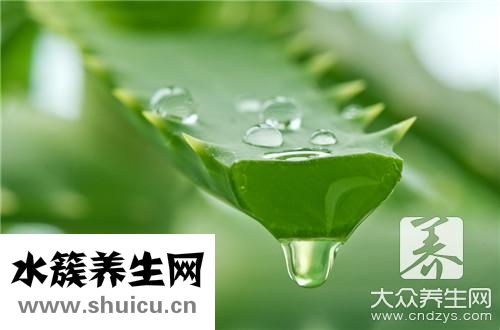 芦荟补水