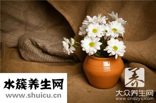 胎菊和贡菊区别