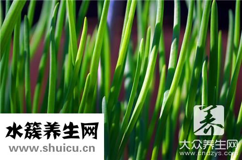 蒜黄和韭黄区别