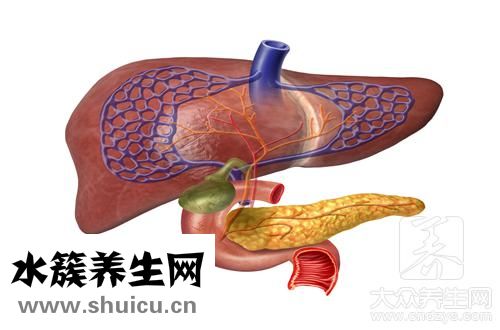 山楂汁