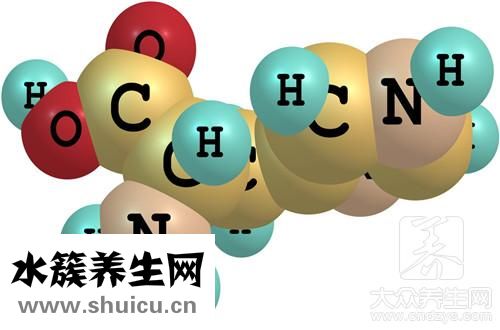 大菊花茶