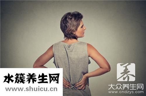 羊肉补什么