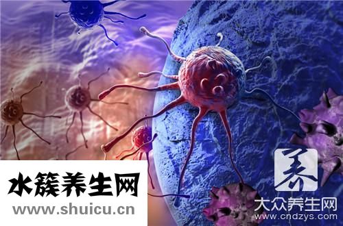 洋葱不能和什么一起