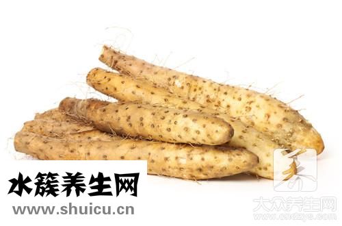 毛山药