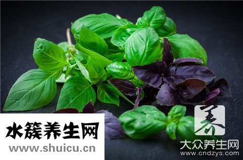 孕妇可以紫苏吗