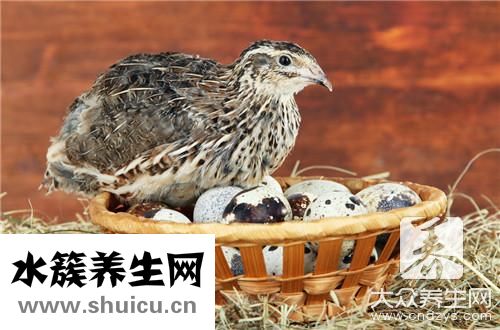 红烧鹌鹑蛋