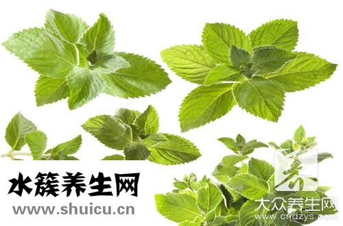 薄荷泡水喝有什么好处