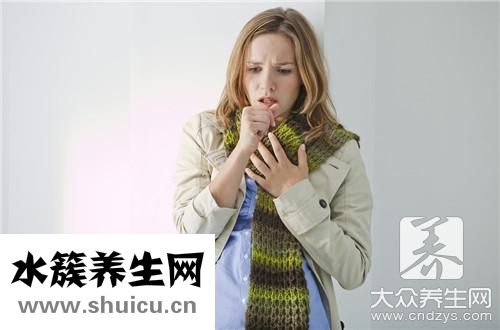 老陈皮价格