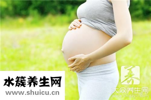 奇亚籽功效