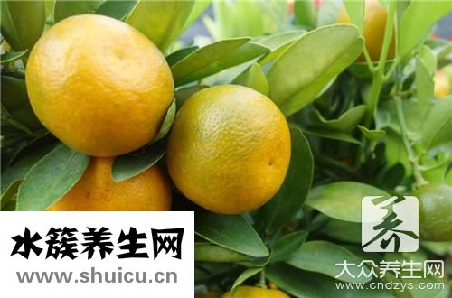 橘和桔有什么区别