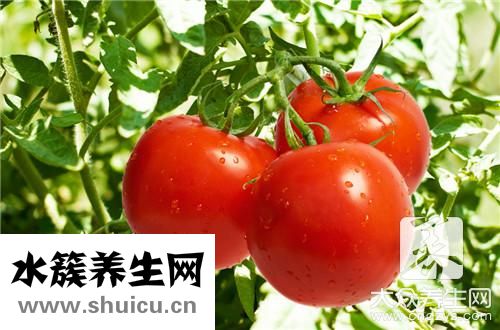 土豆番茄汤