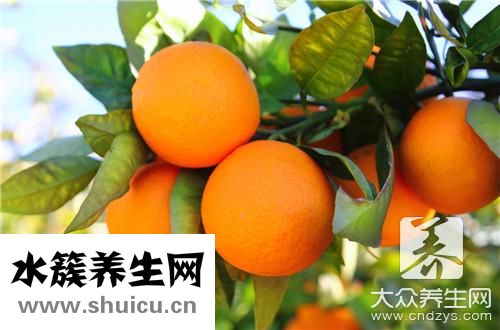 橘子和橙子