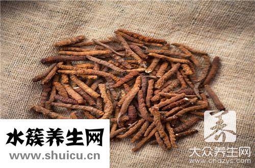 虫草炖鸡