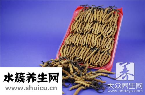 虫草炖鸡