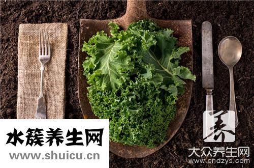 什么菜好消化又养胃