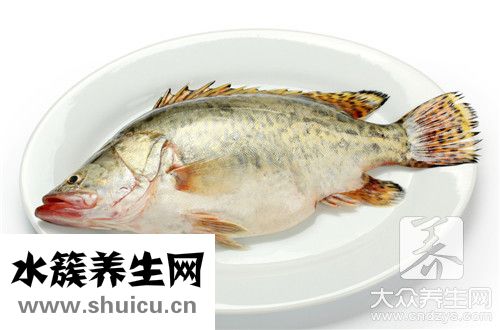 红烧黄河大鲤鱼