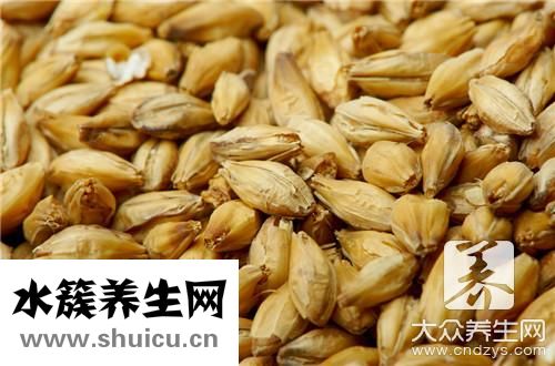 麦芽精功效与作用