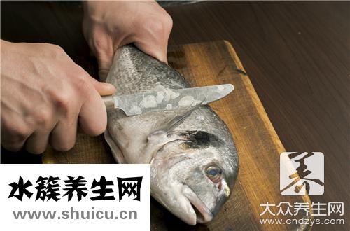 炖胖头鱼