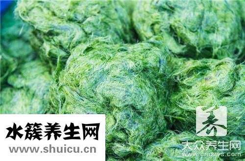 女性螺旋藻坏处