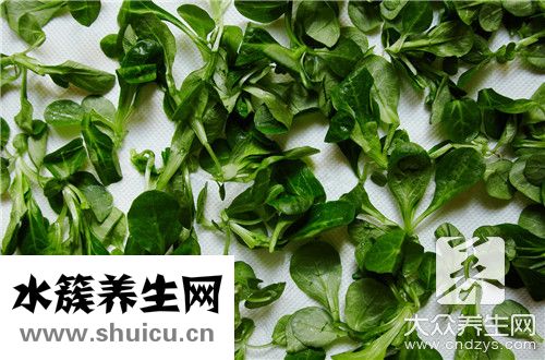 救心菜副作用