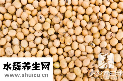 大白芸豆
