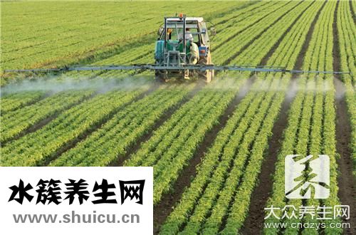 鱼肚子里黑膜是什么