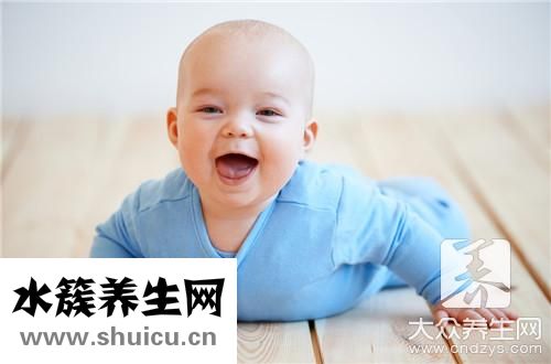 小白菜