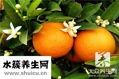 蒸橙子治咳嗽法